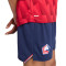 Dres New Balance Lille 2025-2026 Početna