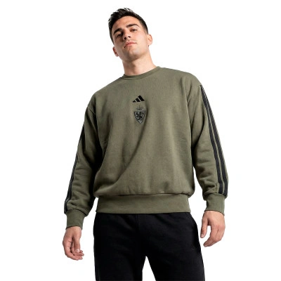 Majica dugih rukava Real Zaragoza Sportswear 2025-2026