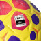 Lopta Nike Academy Plus 20225-2026