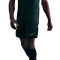Kratke hlače Nike Academy 25 Dri-FIT Br