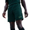 Kratke hlače Nike Academy 25 Dri-FIT Br