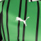Dres Puma Ud Sassuolo 2025-2026 Početna