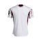 Dres Joma Torino 2025-2026 U gostima