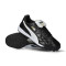 Kopačke Puma King Top Turf
