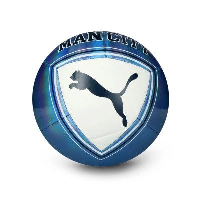 Lopta Manchester City