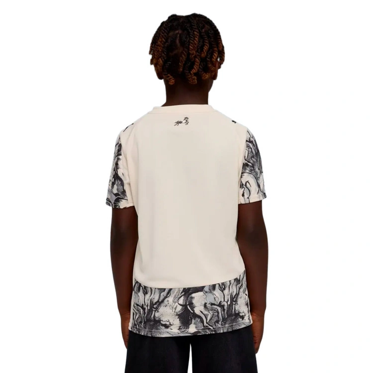 camiseta-puma-manchester-city-edicion-especial-nino-alpine-snow-flat-dark-gray-1