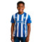 Dres Puma Djeca Alaves 2025-2026 Početna