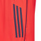Kratke hlače adidas FC Bayern Training 2025-2026