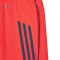 Kratke hlače adidas FC Bayern Training 2025-2026