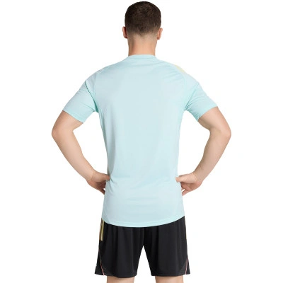 Majica Juventus Training 2025-2026