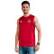Dres adidas Gimnàstic de Tarragona majica Majica rukava za Trening 2025. – 2026