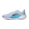 Tenisice Nike Air Zoom Pegasus 41
