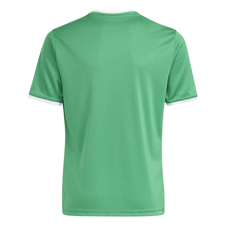 camiseta-adidas-entrada-26-nino-team-green-white-1