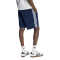 Kratke hlače adidas Firebird