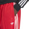 Duge hlače adidas Baggy