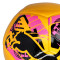 Lopta Puma Big Cat
