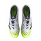 Kopačke adidas Predator Pro L MG