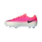 Kopačke Nike Air Zoom Mercurial Vapor 17 Pro FG Djeca