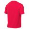 Dres Nike Park VIII