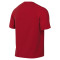 Dres Nike Park VIII