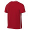Dres Nike Park 26