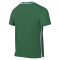 Dres Nike Park 26 Djeca