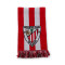 Šal ATH Bilbao Athletic Club de Bilbao