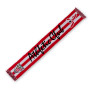 Athletic Club de Bilbao-Crvena