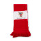 Šal ATH Bilbao Athletic Club de Bilbao