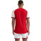 Dres adidas Authentic Arsenal Fc Domaći 2026-2027