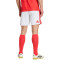 Kratke hlače adidas Benfica Domaći 2026-2027