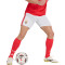 Kratke hlače adidas Benfica Domaći 2026-2027