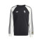 Majica dugih rukava adidas Juventus Originals Collection Fanswear 2025-2026