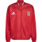Jakna adidas SL Benfica Pre-Match 2026-2027