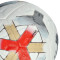 Lopta Nike Academy Plus