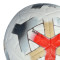 Lopta Nike Academy Plus