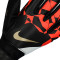 Rukavica Nike Match