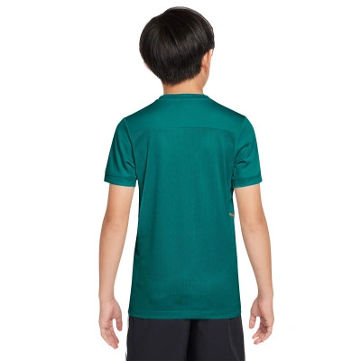 Majica Academy 25 Dri-Fit Niño