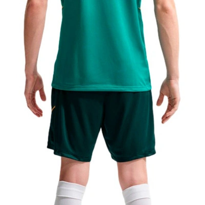 Kratke hlače Nike Academy 25 Dri-Fit