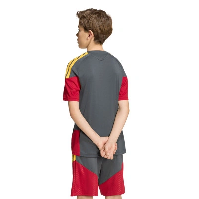 Majica A.S. Roma Trening 2026-2027 Djeca