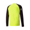 Dres Puma teamPACER m/l Goalkeeper Kid Milan Academy World