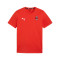 Majica Puma teamGOAL Cotton Milan Academy World