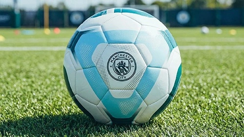 Profesionalnih klubova