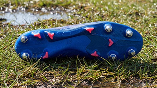 Vlažna prirodna trava (SG):