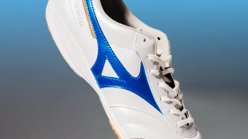 Mizuno