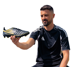 David Villa